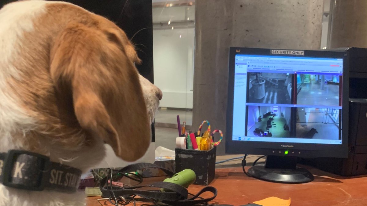Elevate (@elevatetechca) on Twitter photo Security today at the #ElevateTechFest office is looking pretty ruff.
<a href="/DesignExchange/">Design Exchange</a> #sgtbenson #DogsofTwitter Security today at the #ElevateTechFest office is looking pretty ruff.
<a href="/DesignExchange/">Design Exchange</a> #sgtbenson #DogsofTwitter