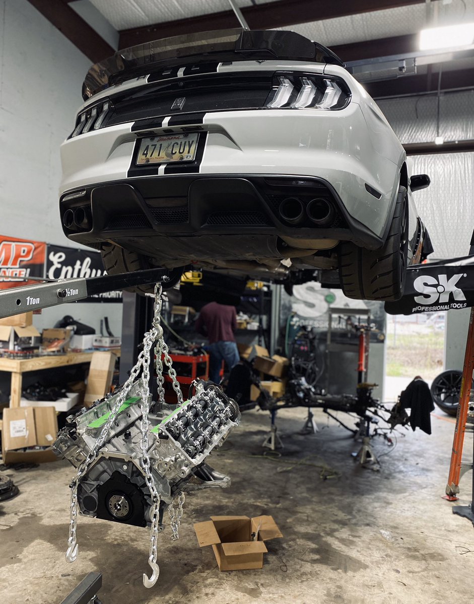 Gavin Trace Simon tweet media