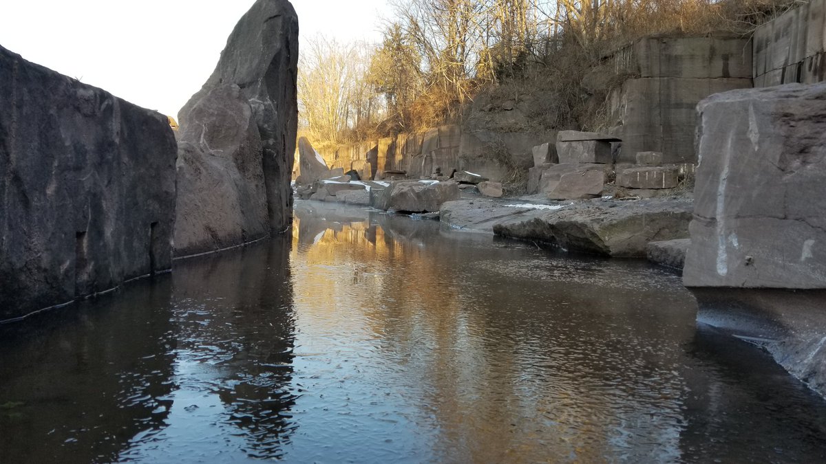 Deansoucy1's tweet photo. Morning walk at Quarry View #Quarryview https://t.co/cdrGWI2774