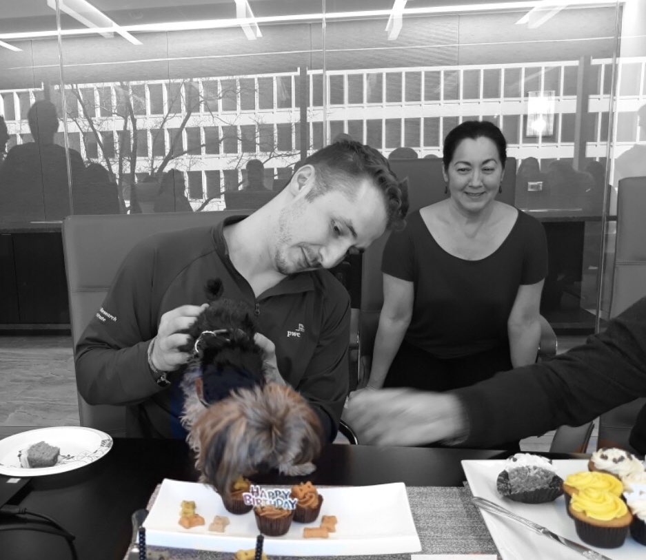 SweetKissCC's tweet photo. Bentley is the cutest little Yorkie! He celebrated his 1st birthday with pupcakes from Sweet Kiss. His mom was nice enough to order cupcakes for the humans too 💗
.
.
#sweetkisscupcakes #pupcakes #cupcakes #dogparty #dogtreats #doglife #dmvdogs #pupparty #yorkielove #puppylove🐶 https://t.co/exC8KMvshh