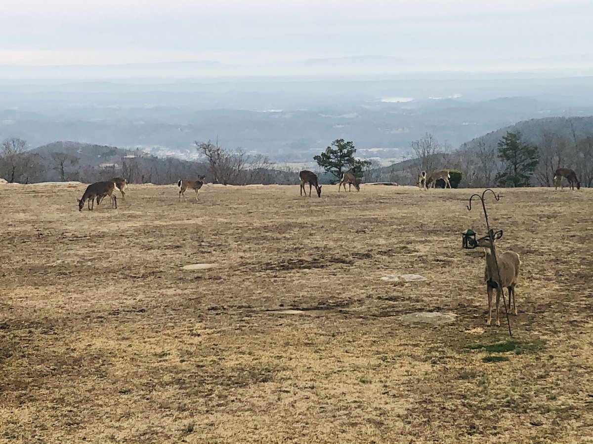 sanditrac's tweet image. Good morning 😃!