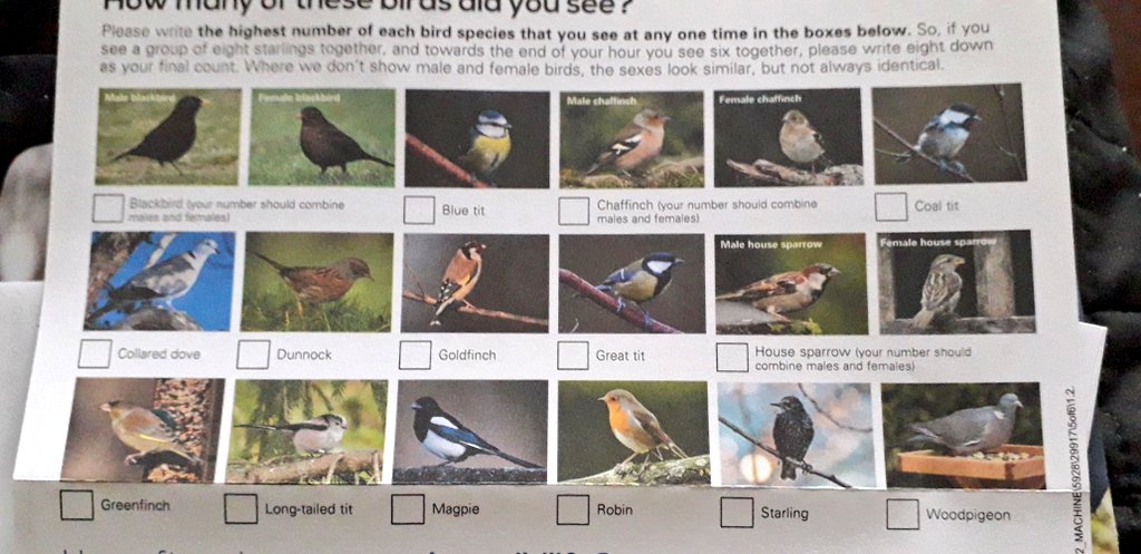 DjDizzeeDuchez's tweet photo. my #BigGardenBirdWatch survey arrived🤩
BIG WEEKEND=25-27th January
tick list for #Uk #WildLife animals including
#Foxes #Badger ♡ #HedgeHog🦔
#BIGandSmallRespectThemALL👈🏻
#KillTheKill🏴
#RightToASafeLife🔊
#SocialSafety
#LuckyDucker🦆 https://t.co/Otp9V19ljr