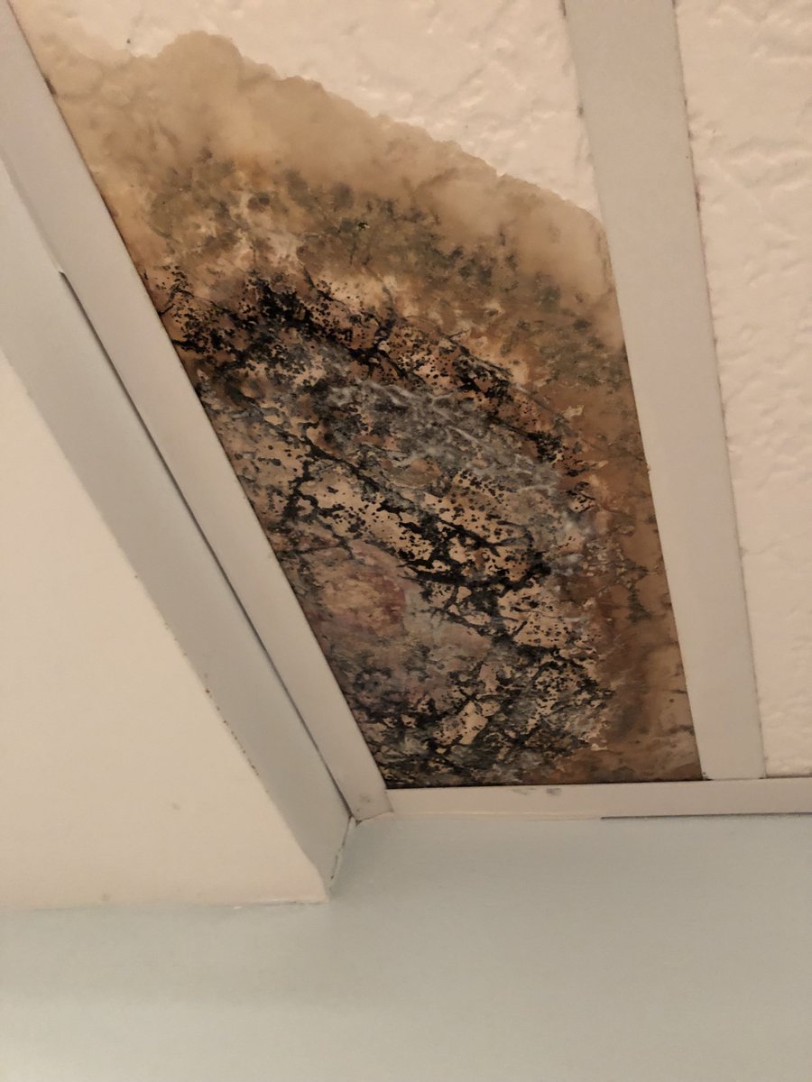 If you see any spots in your living area or basement that look like this, you may have a mold problem. There could be a leaky drain pipe. Do not handle this on your own! Disturbing a spot like this could cause further damage and put your families health at risk. #moldisnojoke