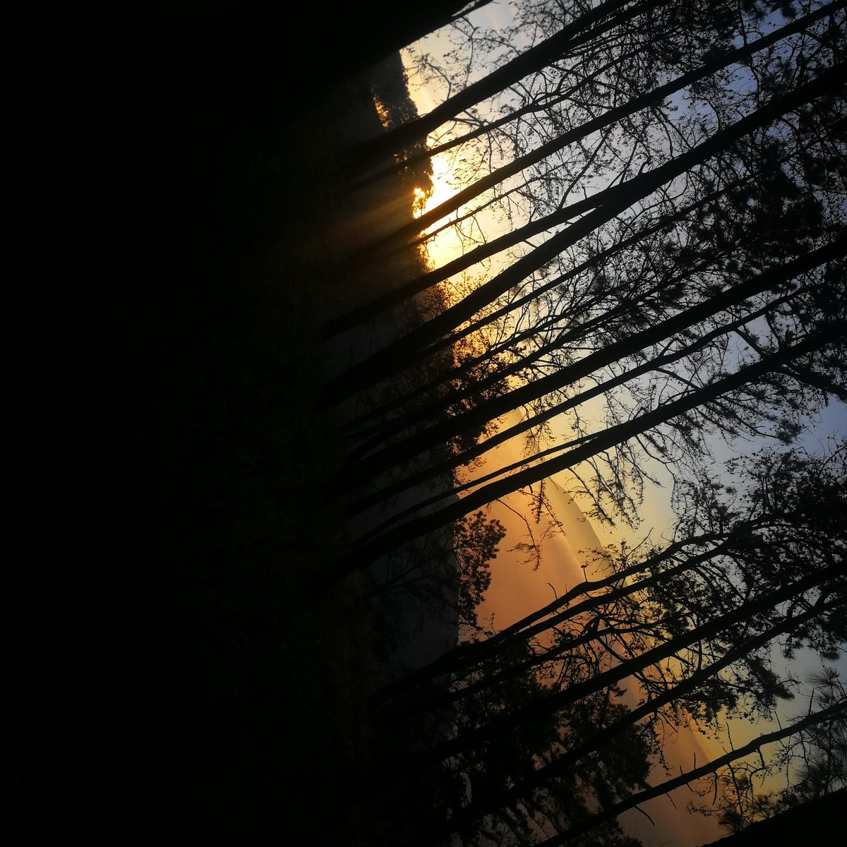 Horacio_Sholas's tweet photo. @susanamorazan que este bello amanecer te de la confianza que todos los días vuelve a salir el sol y tenemos un nuevo día por conquistar https://t.co/2WyLVc2HTg