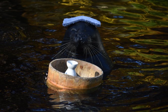 関東 デートにおすすめの水族館12選 カップルで必ず行きたい場所はココだ 暮らし の