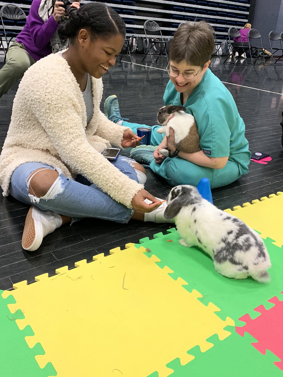 TonkaIB's tweet photo. My face hurts from smiling! Come see bunnies in the Black Box!! 🐰 #mhsmindfulness #bunnybesties @TonkaPrincipal https://t.co/hxozRro4q7