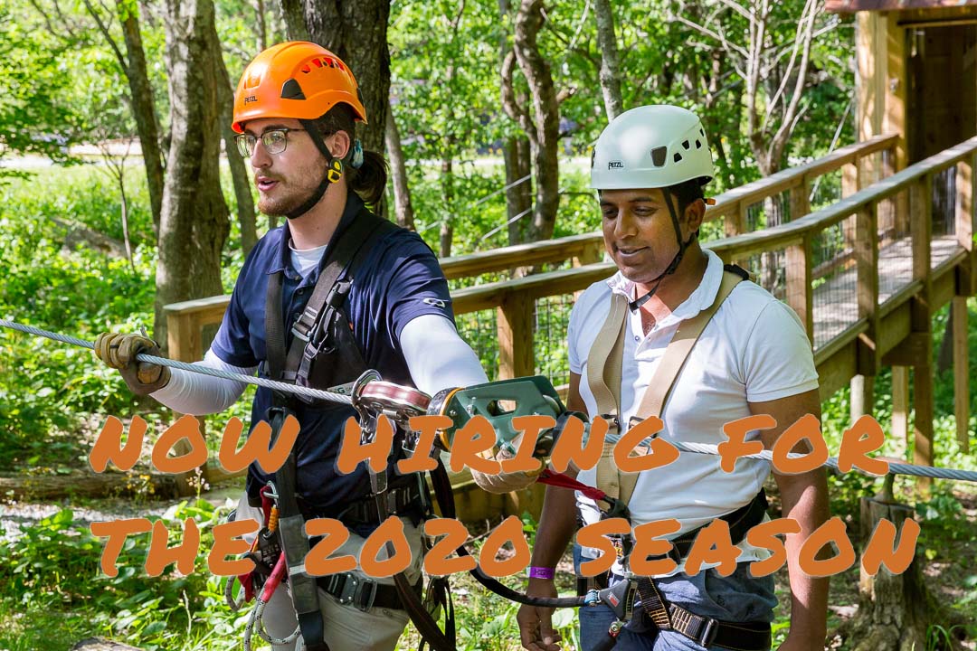 HighGravityAdventure tweet media