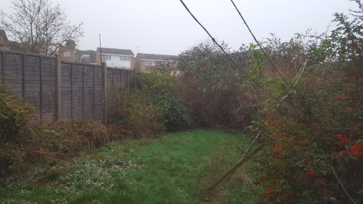Barrett_Lscape's tweet photo. A busy yet satisfying day clearing this unruly garden. Get in touch for your quote                                        ☎️01920464804                     ☎️07813127472 #garden #clearance #wareandhertford #hertfordretweeter https://t.co/jKa5XESah2