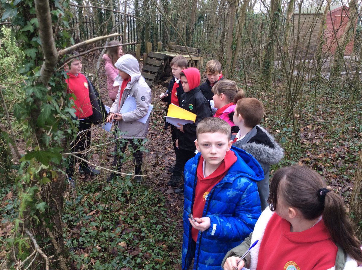 BGrovePrimary's tweet photo. Year 6 have been using the microbits they have coded to find out temperatures around the school. They’ve then used this information to create in-depth bar charts. #codinginreallife https://t.co/2lt9ctj05J