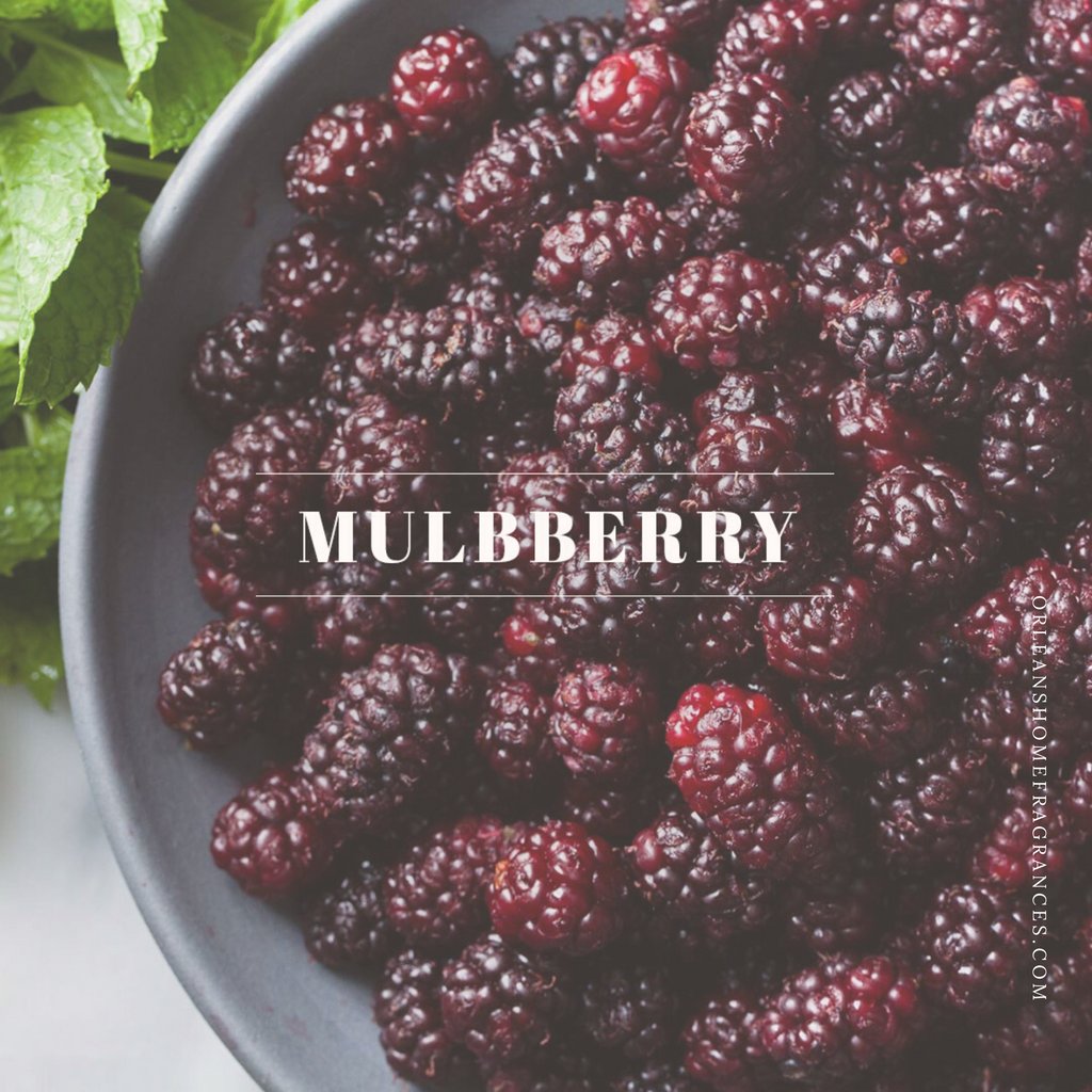 orleansathome's tweet photo. This fragrance is yummy! A burst of mulberry, cherry, and spices. 🍒 https://t.co/JDbr5P3NZD
#orleansathome #bestcandleever #neworleans #candle #favoritescent #bestcandle #orleans https://t.co/2ZyxQDGUlj