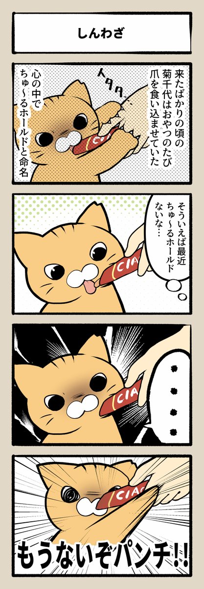 ネコチャンの思い出 