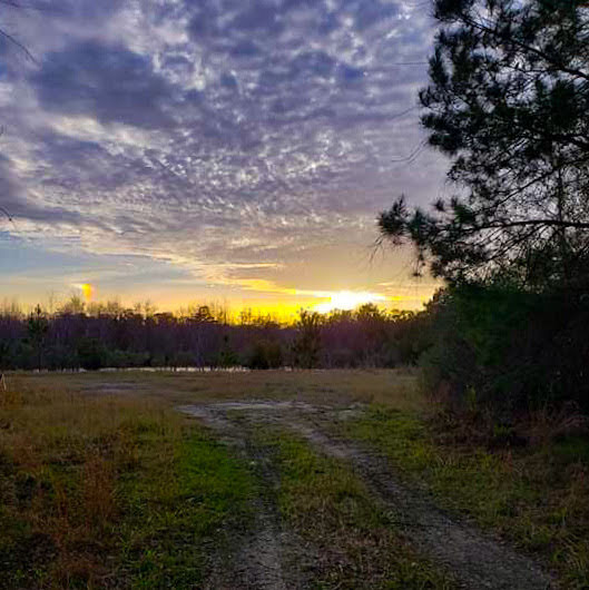 fdtuop's tweet photo. Goes on Forever
Words:@fdtuop 
Image: Sandra Saxon Burnsed
#inthemoment #mindfulness #life #meditation #breathe #peacewitheverystep #amaturephotography https://t.co/rtIgUbGVPZ