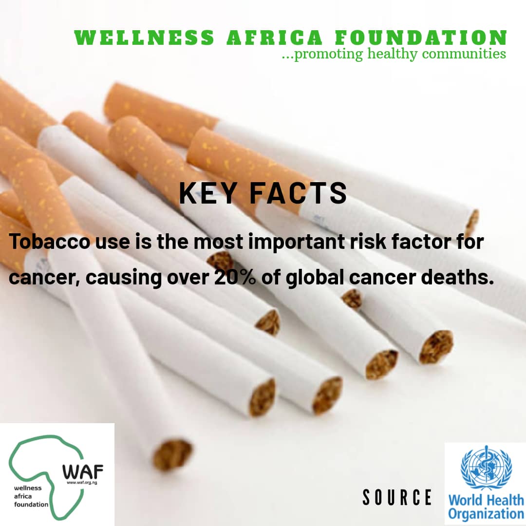 WAFonline's tweet photo. #DidYouKnow
#Tobacco use is the single most important risk factor for #cancer| Responsible for about 22% of cancer-related #deaths globally. As #WorldCancerDay approaches join us on Feb 4, 2020 to raise awareness around communities in #Abeokuta
#IAmAndIWill
#SDG2030
#iSupportSDG3 https://t.co/8RDQvNeUMC