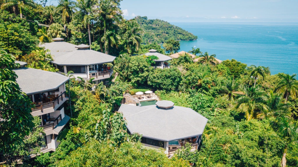 MANINTOWN tweet media