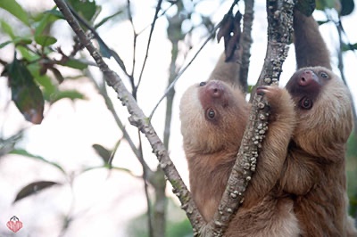 MANINTOWN tweet media