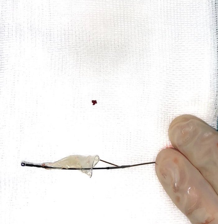 Rodrigo Estévez tweet media