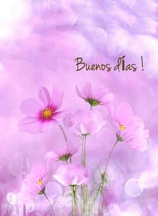 FedoraPayan's tweet photo. @manolilopezve @pilarmartinprie @IsiTello @carmenf07722705 @trinidadyelmo @nala_4 @KATY11430359 @flordlanoche @C13sc @leolaira @juliasantamar63 @baldomera11 @EstherBenito9 @esterdu57 @susanacamba2 @abuelaripoll @MiguelMrueda64 @candediselo @PABLOGO25338164 @mercedesMain @Almuden00072723 @SandraMGN2 @RosaGonzlezEst6 @Purita58 #BellisimaNuestraQueridaBelén
#BuenosDíasBELENISTA
#MilGraciasManoliGuapa
#UnExelenteJuevesXaTíYTod@s
#BELENISTASFANS
#AbrazosDeLuzLluviaInfinita
#DeBendiciones https://t.co/0JdfVKAyKr
