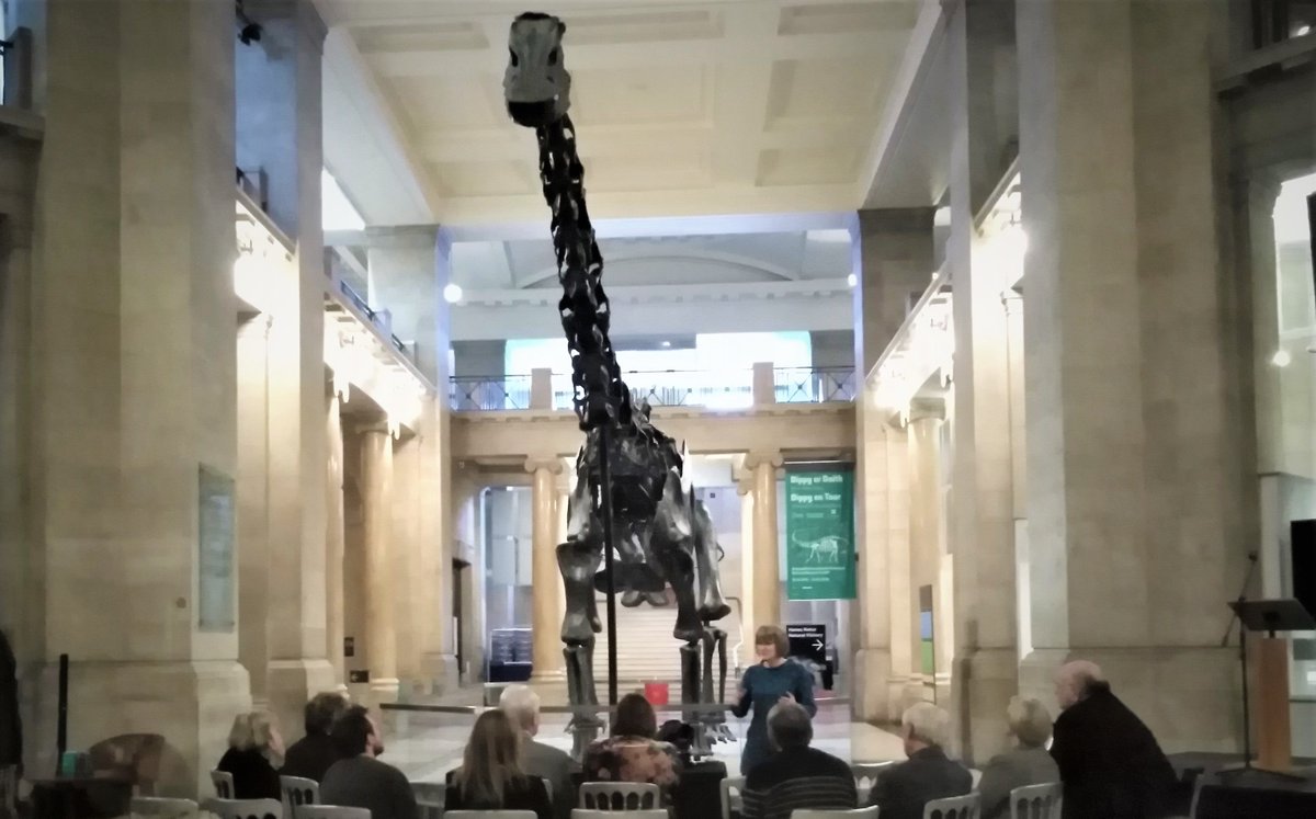 AmgueddfaCymru's tweet photo. Dyma Dr Caroline Buttler, Pennaeth Palaeontoleg, yn rhoi blas ar fyd Dippy i Noddwyr yr Amgueddfa neithiwr @Museum_Cardiff.
Cofiwch alw draw i ddweud helo/hwyl fawr i Dippy cyn iddo'n gadael ni ddydd Sul #DippyarDaith 🦕 https://t.co/msCBfNFW5I
