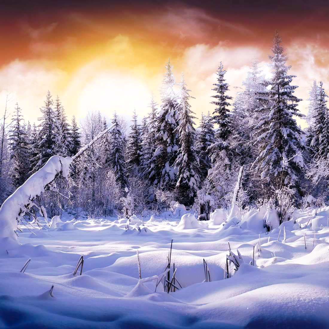 JonnyAdams855's tweet photo. https://t.co/pxtID44zKV ◀️ Download here ❄️

⛄ Wide choice of phenomenal live wallpapers!
⛄ Excellent 3D parallax effect!
⛄ Beautiful HD graphics!
⛄ Animated particles falling down the screen!
⛄ Choose the speed, number, and type of particles! https://t.co/yOBvp1wqSY