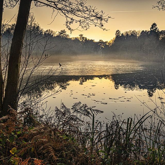 Hannah Belton tweet media