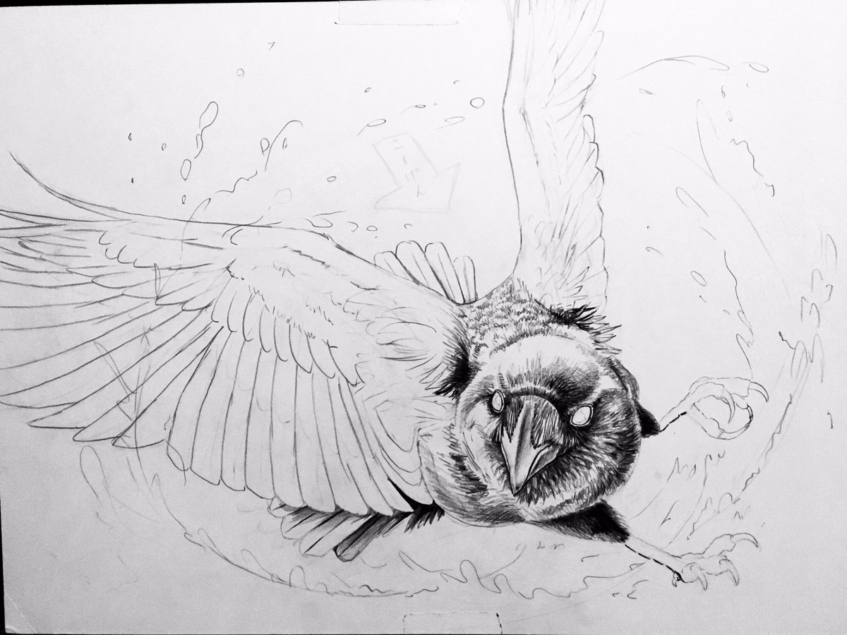 カラスの行水描いてます 複雑なポーズの時は陰影が迷子になりがちなのでグリザイユし 0sukeヨースケの漫画