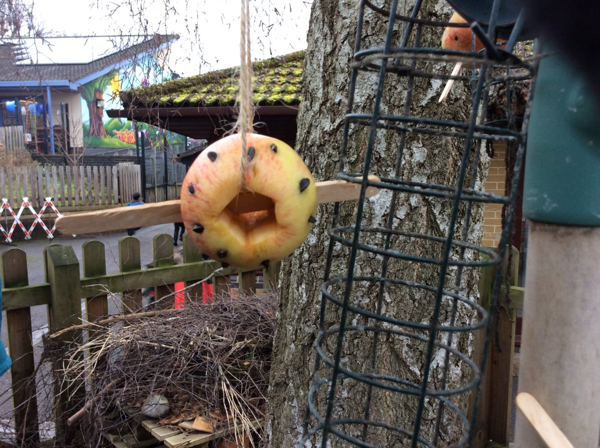 EmJaneHill's tweet photo. RBB enjoyed making some bird feeders for the hungry birds this week. We have hung them around the school - can you find the four different types? @parsonstreet https://t.co/zlV5XRvugR