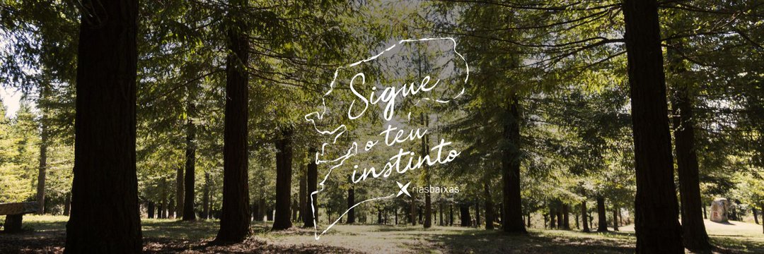 bosquedecolon's tweet photo. Somos o maior Bosque de Sequoias de Europa. 500 árbores plantadas por rapaces de 2 continentes simbolizando a amizade entre os pobos. Un lugar único cunha historia incomparable, candidato a Espazo Protexido da @Xunta e xestionado pola CMVMC de San Xoán. Agardámosvos en #Poio! https://t.co/pruhnmgnOs