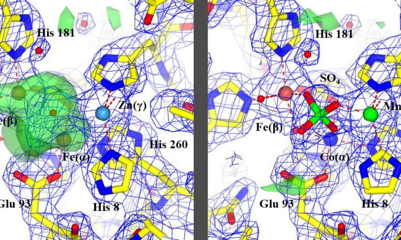 ChemistryPeers's tweet image. Bookmark your Dates: chemistry.peersalleyconferences.com

by Ellen Goldbaum, University at Buffalo- New X-ray method has &apos;profound implications&apos; for the development of lifesaving drugs.

#metalloproteins #NewDrugs #AnalyticalMethod #ChemicalSociety #MedicalResearch #AppliedSciences #BioXFEL