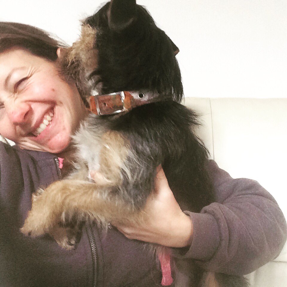 JWoodnutt's tweet photo. Pixie is being very distracting today. Apparently my face needed a good wash! Still, have written three articles! #writing #vetwriter #vetsstaygodiversify #vsgd #amwriting #contentwriter #petvet https://t.co/HdFq8mV583 https://t.co/VwyYMLiDRN