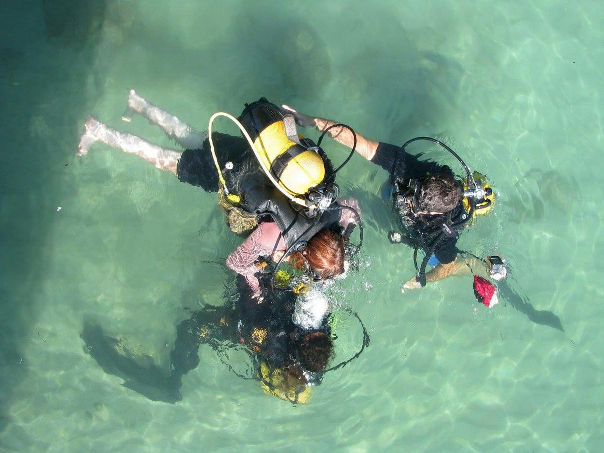 sobescuba's tweet photo. A million things left to do and organize .... And I'm just speaking about myself 🤪 #AquaSubJostiband  coming Saturday ♥️ #iahd #adaptivescuba https://t.co/sZ31Mk2Yn1