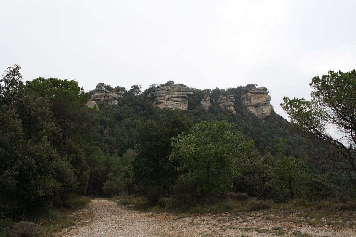twitcooltur's tweet photo. Des del Puig del Far podeu gaudir d’unes fabuloses vistes del Pantà de Sau, alhora que hi podeu descobrir les restes d’una torre medieval. Descobreix-ne més a través de la nostra pàgina web.  #Osona
#BCNmoltmes 
#catalunyaexperience
#Catalunya
#Turisme
https://t.co/bZFX81CFVO https://t.co/m00jQoIxDb