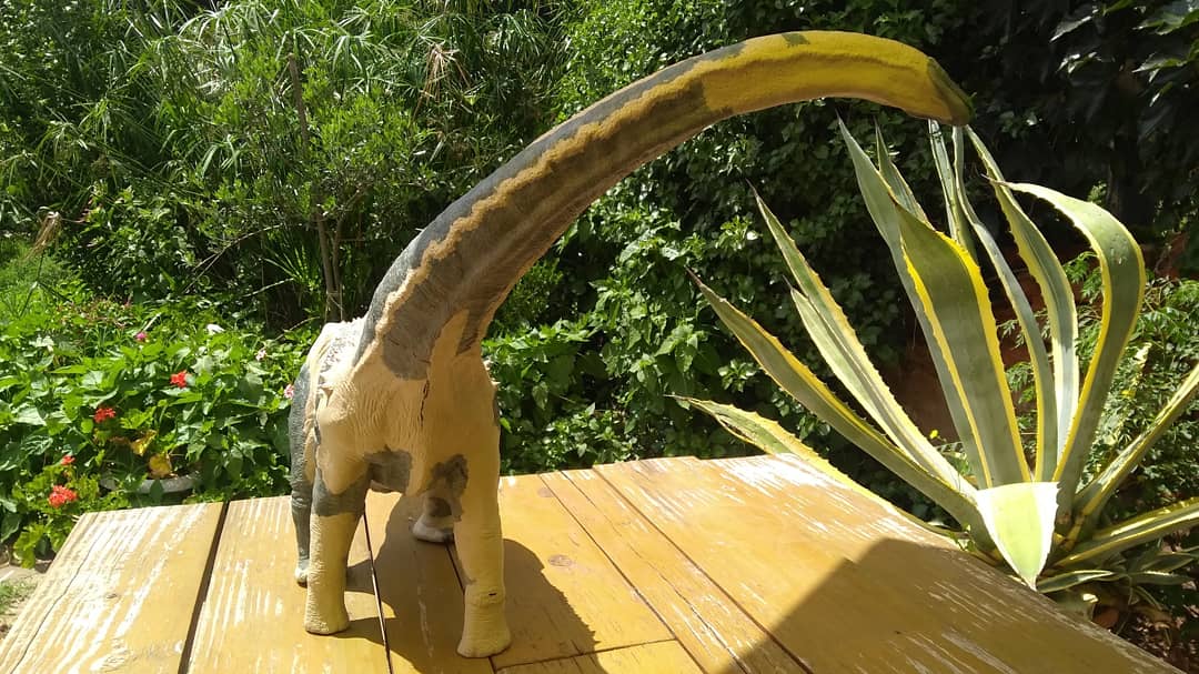dinoesculturas's tweet photo. #Argentinosaurus - Remodelación completa, ahora toca el turno de la pintura / Complete remodeling. Now it's time to paint it https://t.co/91OOgshCS0
