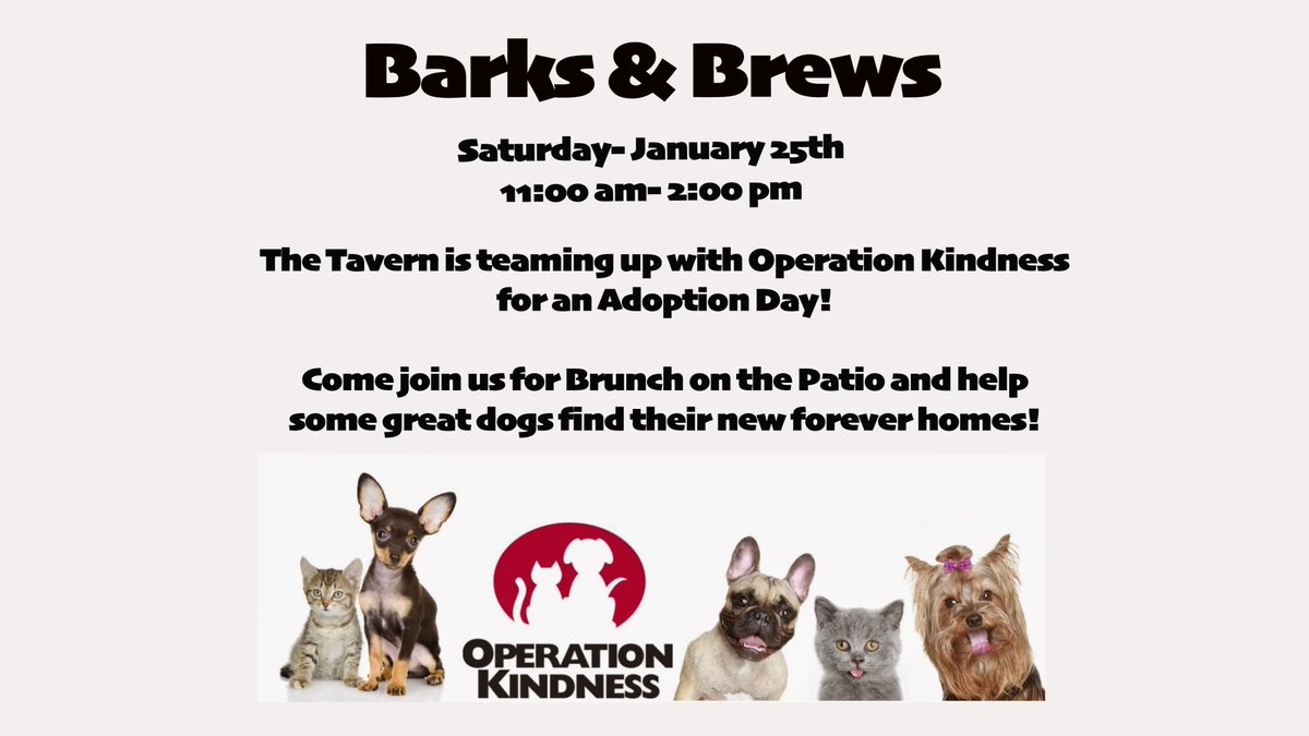 Join us on Saturday for a great cause! #puppyadoption #puppies #beers #brunch