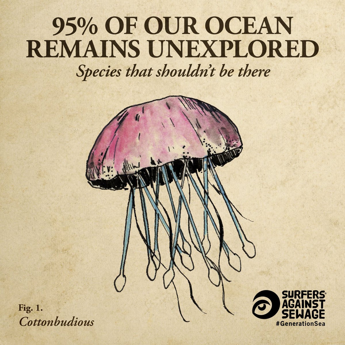 Cotton buds depicted as an ocean species - like a jellyrish with cotton bud tentacles