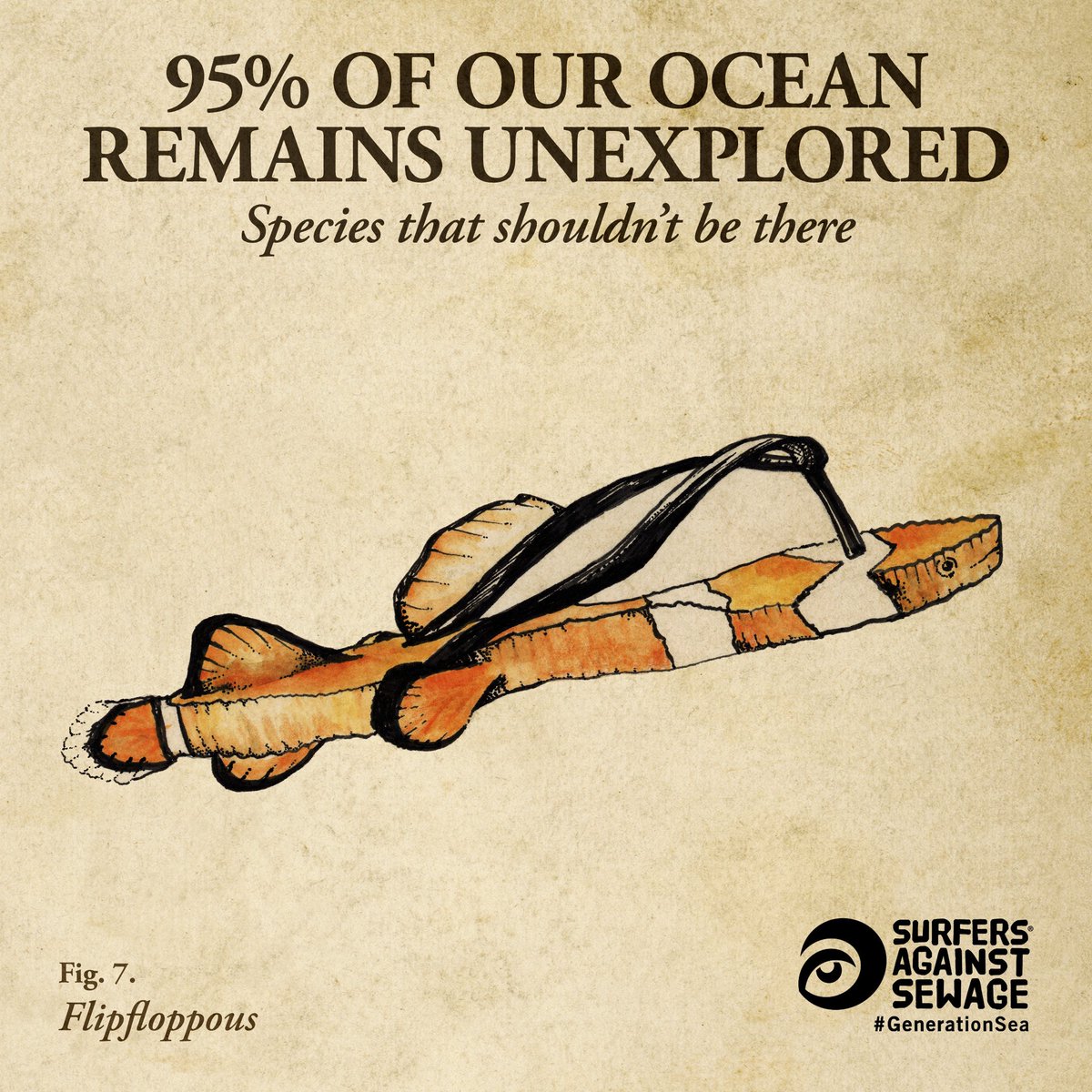 flip flop depicted as an ocean species - with a clown fish with a shoe for a body