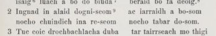 CClearych's tweet photo. Where there's a will there's a way to make up that syllable count.
#EarlyIrishpoetry #MiddleIrish https://t.co/hX6SF8hN57