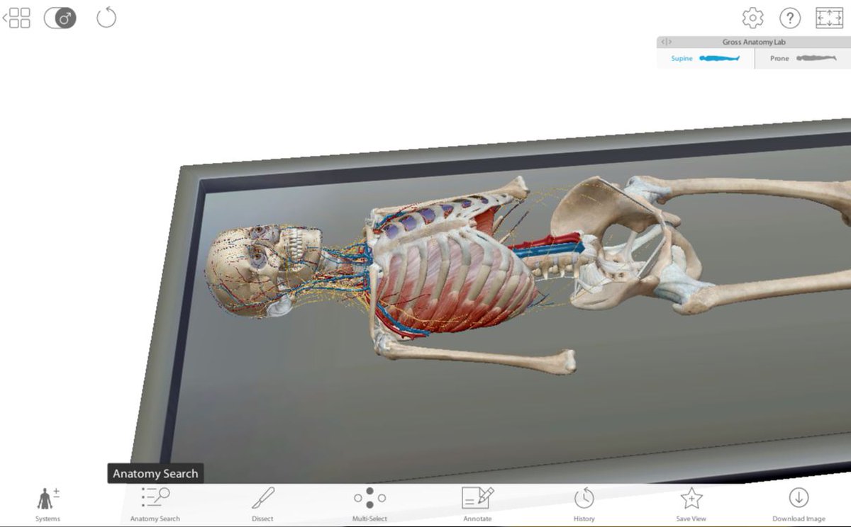 dyclibrary's tweet image. Off campus access to Visible Body is back! Any time access to your own anatomy lab from the D&apos;Youville Library! dyc.libguides.com/visbody #dyouville #libtools