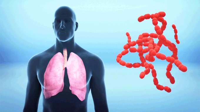 Yerleştirilmiş video