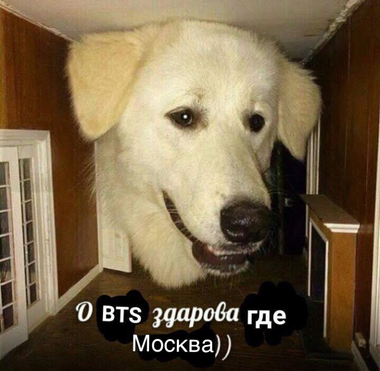 #MapOfTheSoulRussiaBTS
MOSCOW MOSCOW MOSCOW