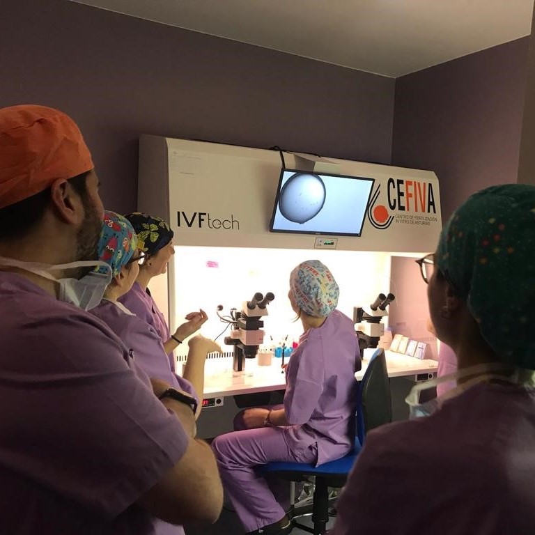 KitazatoIVF's tweet photo. Yesterday we visited @CefivaAsturias. Where we held a workshop with Silvia Camacho, from @ClinicaGinefiv, and a great team of #IVFHeroes from FIV 4 and Clínica San Francisco de León too. Thank you all for your hard work fighting against infertility! 🦸♂️🦸♀️
#Embryology #IVFHero https://t.co/UVrQqhe277