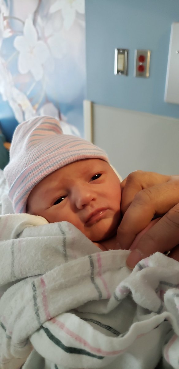 bbennz55's tweet photo. Lola Rose Beamer 
arrived on January 14, 2020 at 12:01am 
weighing 6lb 7.7oz &amp; 19.5in long! 
from the moment i first held you i felt like i have known you my entire life, you’re everything to me.💗 https://t.co/kJuXzp3wVN