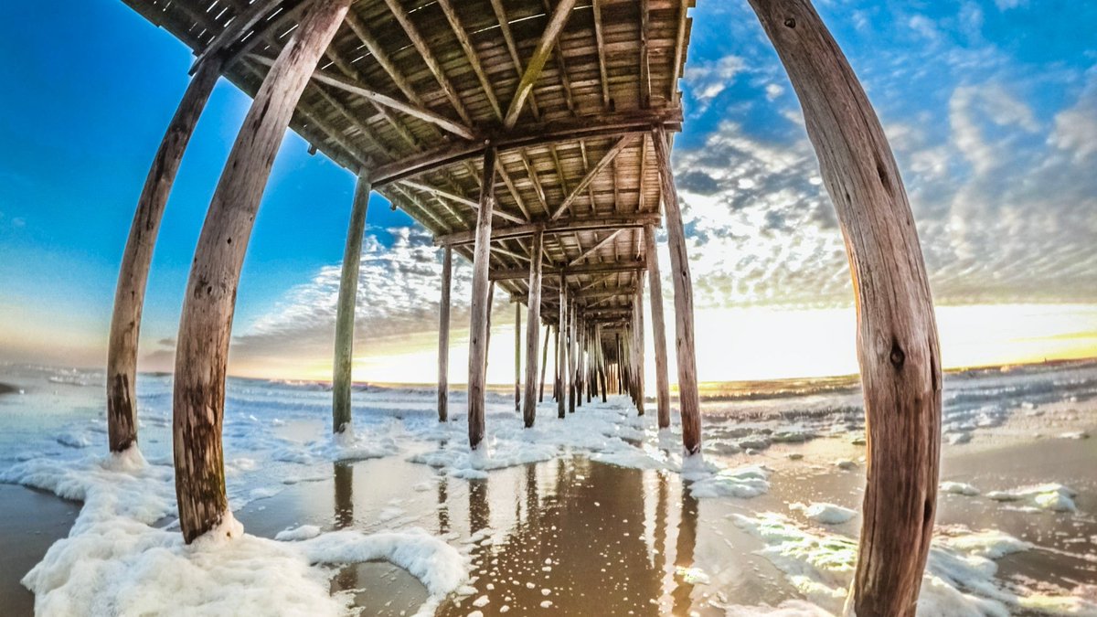 Odyssea WaterSports tweet media