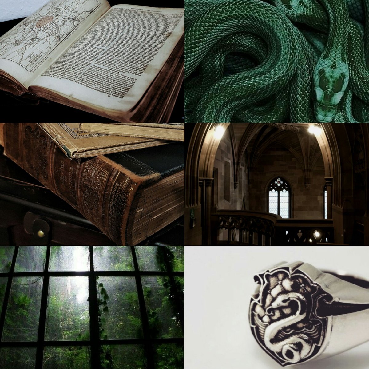 ¶ Salazar Slytherin 🐍

¶ Uno de los fundadores de Hogwarts

¶ Nunca estoy satisfecho, busco perfección a cada paso que doy

¶ Mejor amigo de Godric Gryffindor

¶ Los misterios de la vida son dados como regalo a las personas con la suficiente ambición para encontralos