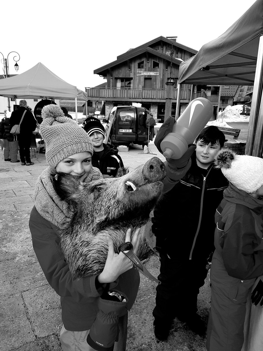 Ce matin : #balade #marche #souvenirs Pour un groupe.
Alternance des activités d'un matin à l'autre.