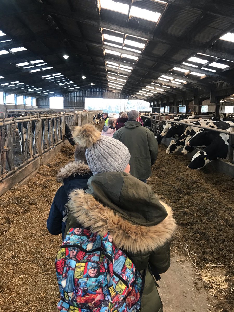 Yester Farm Dairies Yesterdairies Twitter