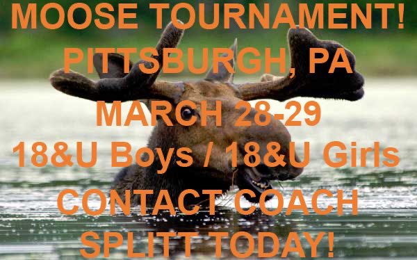 Tournament season is officially here! If you want to play, just contact Coach Splitt and get signed up! Cost will depend on total athletes attending. #MOOOOOOOOSE <a href="/OhioWaterPolo/">OhioWaterPolo</a>