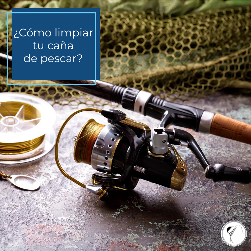 Pescatienda's tweet photo. Seguro que después de una jornada de #pesca lo que menos te apetece es limpiar la #caña, pero es muy importante hacer un buen mantenimiento del equipo.

Aquí te dejamos algunos consejos para hacerlo de forma correcta👇

▶️ https://t.co/A9W1RR7vQD

#Pescatienda #Surfcasting https://t.co/BLR1RAXpjn