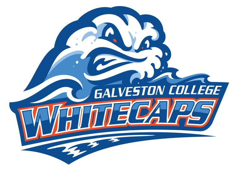 JohnWFerguson's tweet photo. Galveston College made @UniWatch today. They compared the new Galveston College logo to the Tulane Green Wave. There's also another minor league team called the Whitecaps that has an anthropomorphic wave. Which wave is the best wave? https://t.co/6ahlhe1Y2q https://t.co/f0ejnok4l9