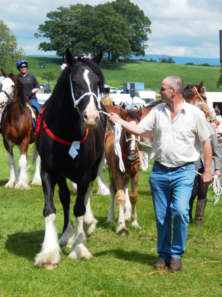 Happy #CumbriaDay people!.... And there's nothing #Cumbrians like better than a traditional agricultural show. Set the date for #Skelton2020 on Saturday 4th July at Hutton in the Forest!