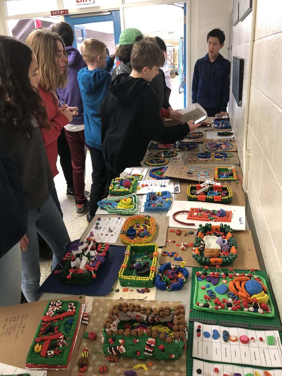 The human body is composed of trillions of cells, all with their own specialized function...stop by to see our display #handsonlearning #Scienceisfun